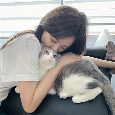 城市猎人